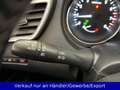 Nissan Qashqai aus 1. Hand AAC SHZ Navi PDC Pano AHK Braun - thumbnail 15