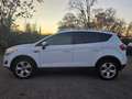 Ford Kuga 2.0 TDCI 4WD 120KW Titanium Leder PanoramadachNavi Blanc - thumbnail 8