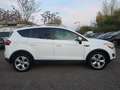 Ford Kuga 2.0 TDCI 4WD 120KW Titanium Leder PanoramadachNavi Blanc - thumbnail 7