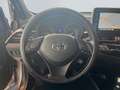 Toyota C-HR Hybrid Team D*SHZ*KLIMA*KAMERA*Allwetter* Zilver - thumbnail 13