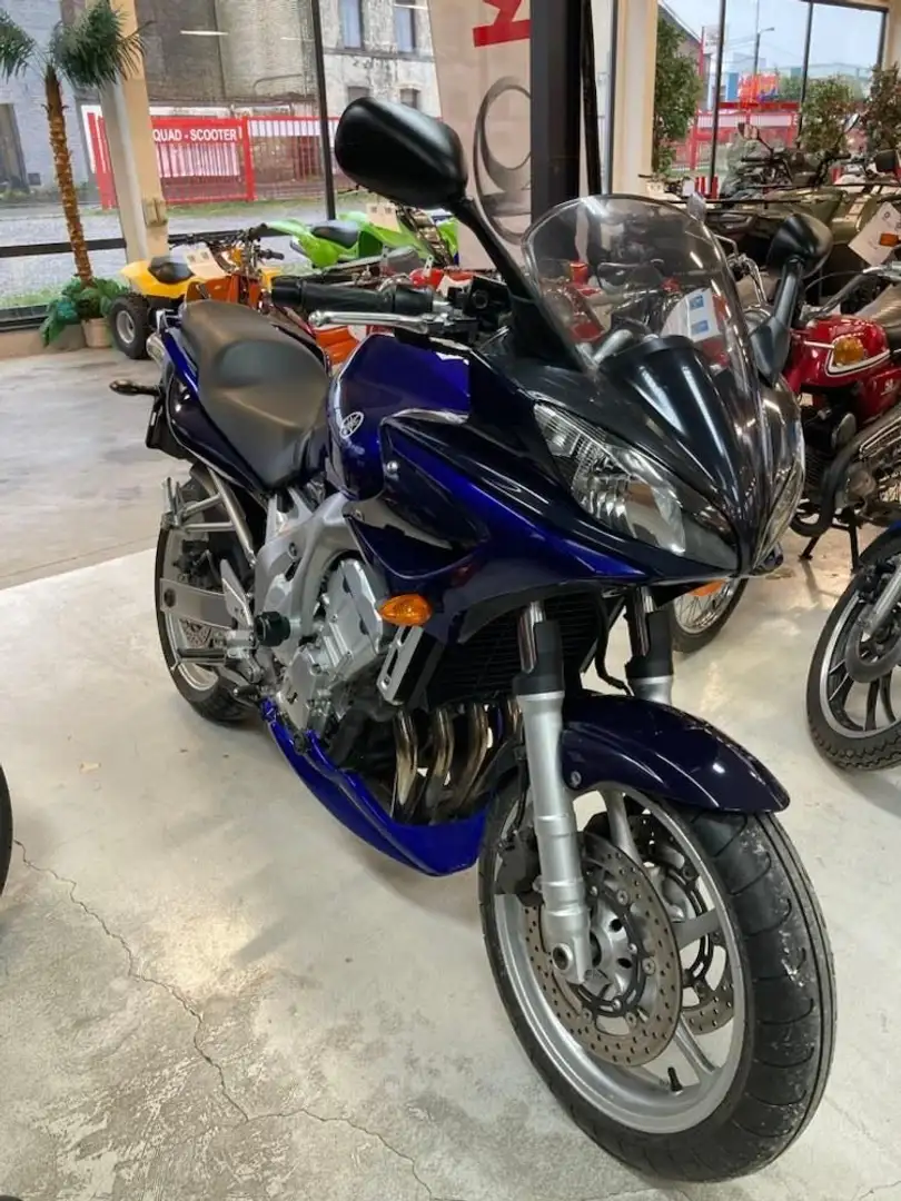 Yamaha FZ 6 Bleu - 2