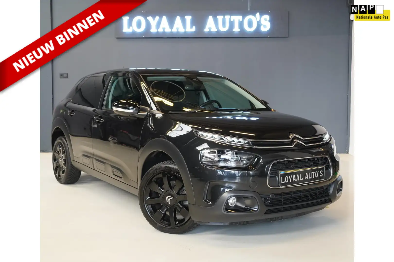 Citroen C4 Cactus 1.2 PureTech Shine | NAVI | BTW AUTO | CRUISE | PD Noir - 1