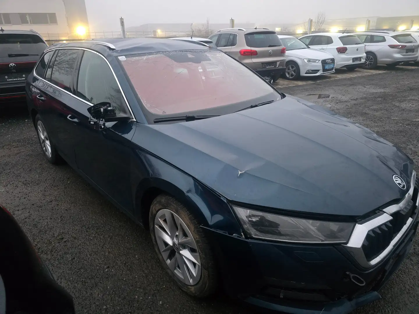 Skoda Octavia Blau - 2