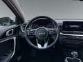 Kia Ceed / cee'd Ceed 1.5 T-GDI Vision Matrix 2xKlima AUT Kam. LM Zilver - thumbnail 13