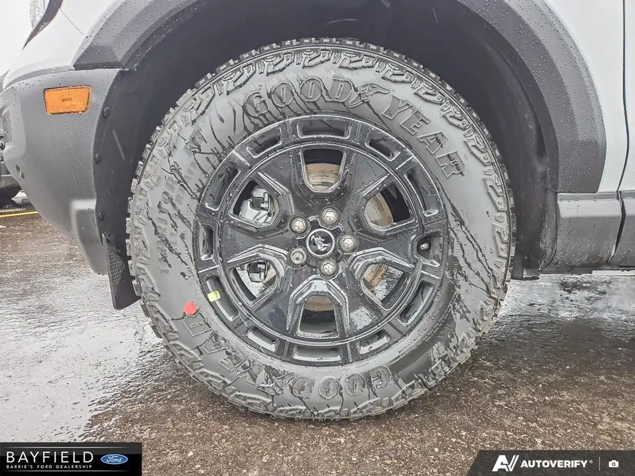 Ford Bronco Sport снимка Ford Bronco Sport