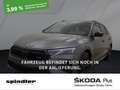 Skoda Octavia RS 2.0 TSI DSG / Pano, Matrix, HuD, AHK Grau - thumbnail 1