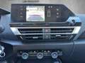 Citroen C4 X Plus//Windschutzscheibe beheizbar/PDC h/ Gri - thumbnail 11