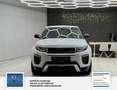 Land Rover Range Rover Evoque Pure 1 Hand. Panorama: Weiß - thumbnail 9