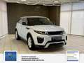 Land Rover Range Rover Evoque Pure 1 Hand. Panorama: Weiß - thumbnail 3