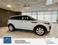 Land Rover Range Rover Evoque Pure 1 Hand. Panorama: Weiß - thumbnail 6