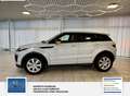 Land Rover Range Rover Evoque Pure 1 Hand. Panorama: Weiß - thumbnail 7