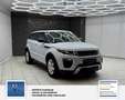 Land Rover Range Rover Evoque Pure 1 Hand. Panorama: Weiß - thumbnail 10