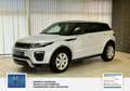 Land Rover Range Rover Evoque Pure 1 Hand. Panorama: Weiß - thumbnail 1