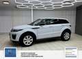 Land Rover Range Rover Evoque Pure 1 Hand. Panorama: Weiß - thumbnail 11