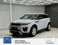 Land Rover Range Rover Evoque Pure 1 Hand. Panorama: Weiß - thumbnail 8