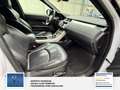Land Rover Range Rover Evoque Pure 1 Hand. Panorama: Weiß - thumbnail 19