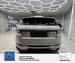 Land Rover Range Rover Evoque Pure 1 Hand. Panorama: Weiß - thumbnail 14