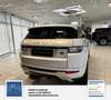 Land Rover Range Rover Evoque Pure 1 Hand. Panorama: Weiß - thumbnail 5