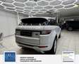 Land Rover Range Rover Evoque Pure 1 Hand. Panorama: Weiß - thumbnail 15