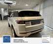 Land Rover Range Rover Evoque Pure 1 Hand. Panorama: Weiß - thumbnail 4