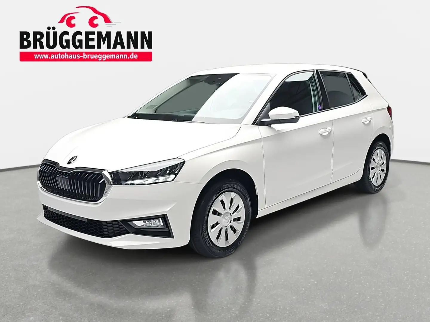 Skoda Fabia FABIA 1.0 MPI SELECTION KLIMAAUTO AUDIOSYSTEM CHRO Weiß - 1