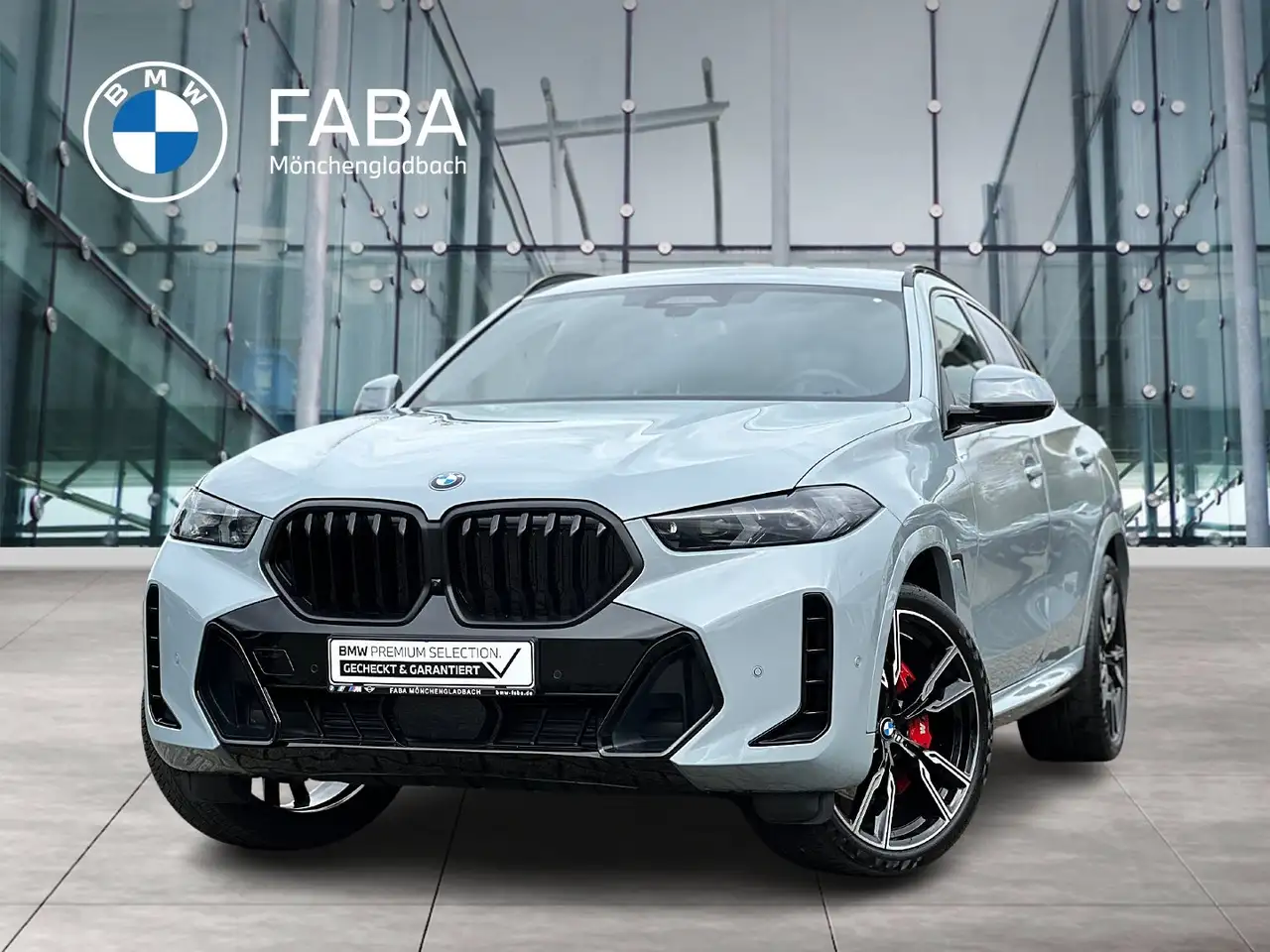 BMW X6 xDrive30d M Sport Sportpaket Pro Iconic Glow AHK