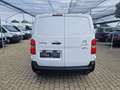Citroen !!AKTION IM SEPTEMBER!! STATT 16890,- um 15990,- Weiß - thumbnail 9