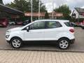 Ford EcoSport 1.0 EcoBoost COOL&CONNECT Bianco - thumbnail 3
