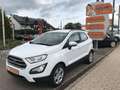 Ford EcoSport 1.0 EcoBoost COOL&CONNECT Blanc - thumbnail 1