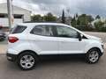 Ford EcoSport 1.0 EcoBoost COOL&CONNECT Blanc - thumbnail 4