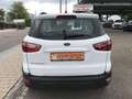 Ford EcoSport 1.0 EcoBoost COOL&CONNECT Bianco - thumbnail 5