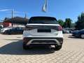 Volkswagen T-Cross 1.0 TSI Life Sitzh. Alu DAB+ PDC v+ h ACC Wit - thumbnail 3