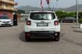 Jeep Renegade 1.0 T3 Limited Bianco - thumbnail 6