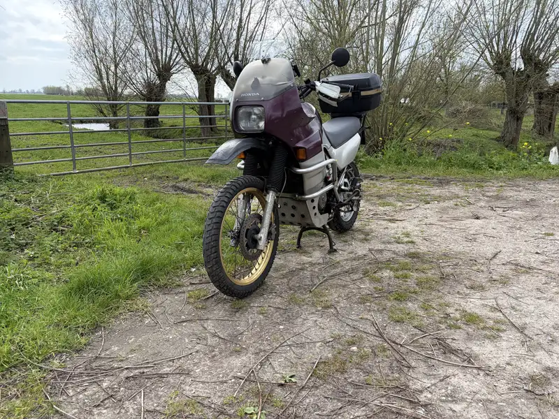 Honda Transalp - foto 3