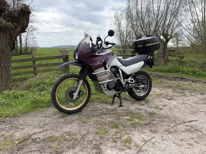 Honda Transalp - foto 2