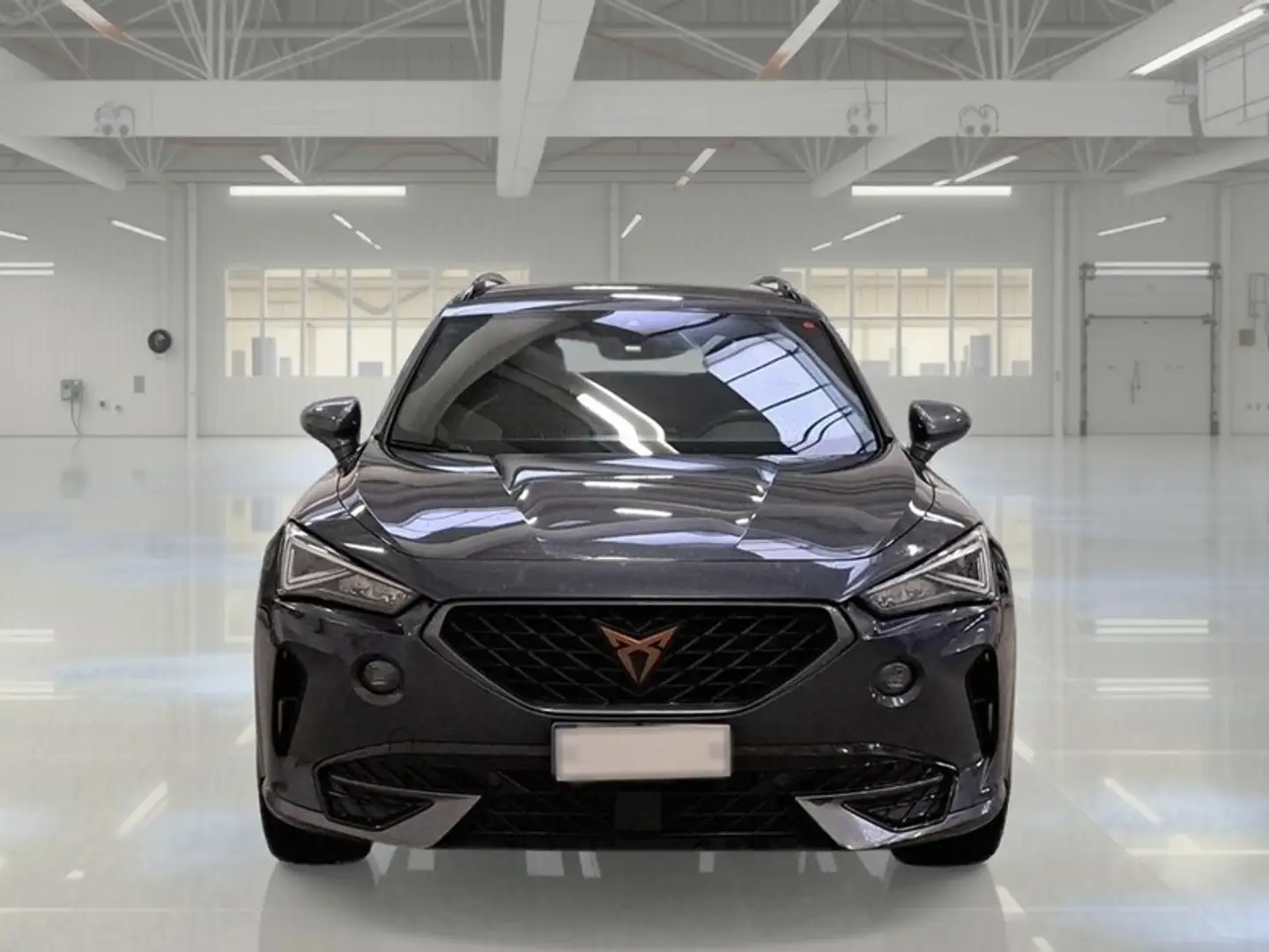 CUPRA Formentor 2.0 TDI 4DRIVE DSG 5 PORTE SUV - 2