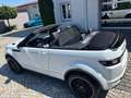 Land Rover Range Rover Evoque Cabrio HSE Dynam Si4|Meridian Weiß - thumbnail 5