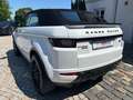 Land Rover Range Rover Evoque Cabrio HSE Dynam Si4|Meridian Weiß - thumbnail 6