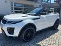 Land Rover Range Rover Evoque Cabrio HSE Dynam Si4|Meridian Weiß - thumbnail 1