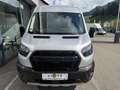 Ford Transit Kastenwagen L3H2 350 Trail Silber - thumbnail 2