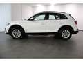 Audi Q5 40 TDI quattro S tronic,GRA,LED,PDC Weiß - thumbnail 7