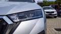 Skoda Octavia wagon 2.0 tdi evo executive 150cv dsg Gris - thumbnail 19