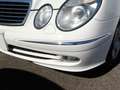 Mercedes-Benz E 500 Avantgarde, Nur 67.000 km, Top Ausstattung Beyaz - thumbnail 8