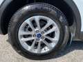 Ford Kuga Kuga III 2020 2.0 ecoblue Titanium 2wd 120cv auto Blanc - thumbnail 12