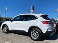 Ford Kuga Kuga III 2020 2.0 ecoblue Titanium 2wd 120cv auto Blanc - thumbnail 5