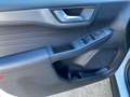 Ford Kuga Kuga III 2020 2.0 ecoblue Titanium 2wd 120cv auto Blanc - thumbnail 28