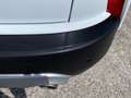 Ford Kuga Kuga III 2020 2.0 ecoblue Titanium 2wd 120cv auto Blanc - thumbnail 11