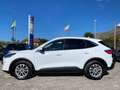 Ford Kuga Kuga III 2020 2.0 ecoblue Titanium 2wd 120cv auto Blanc - thumbnail 4