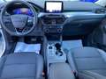 Ford Kuga Kuga III 2020 2.0 ecoblue Titanium 2wd 120cv auto Blanc - thumbnail 14