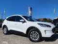 Ford Kuga Kuga III 2020 2.0 ecoblue Titanium 2wd 120cv auto Blanc - thumbnail 1